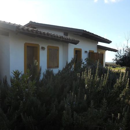 Sagama Agriturismo Su Nuratoluヴィラ エクステリア 写真