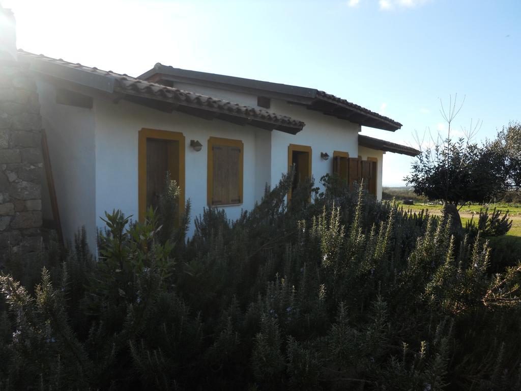 Sagama Agriturismo Su Nuratoluヴィラ エクステリア 写真
