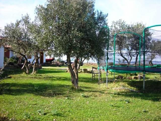 Sagama Agriturismo Su Nuratoluヴィラ エクステリア 写真