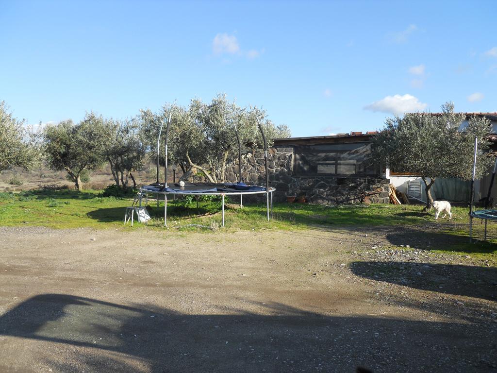 Sagama Agriturismo Su Nuratoluヴィラ エクステリア 写真