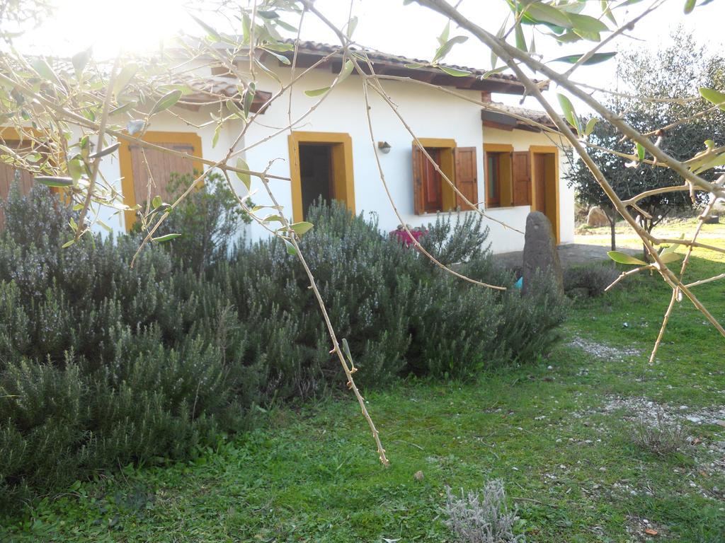 Sagama Agriturismo Su Nuratoluヴィラ エクステリア 写真